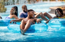 Roller Coaster jack Rabbit