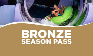 Bronze Season Pass Image