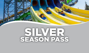 Black Friday Silver Pass 