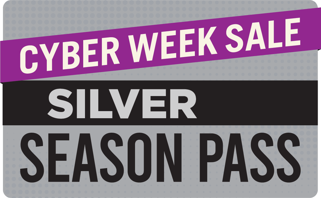 Silver pass image